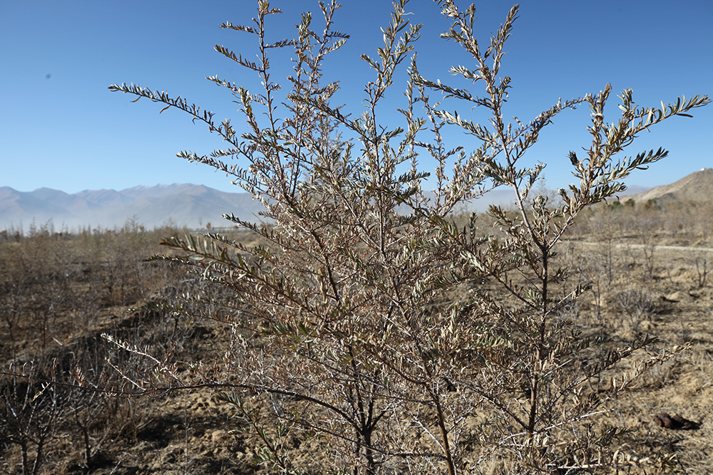 1548033735547491.jpg IMG_8877.jpg