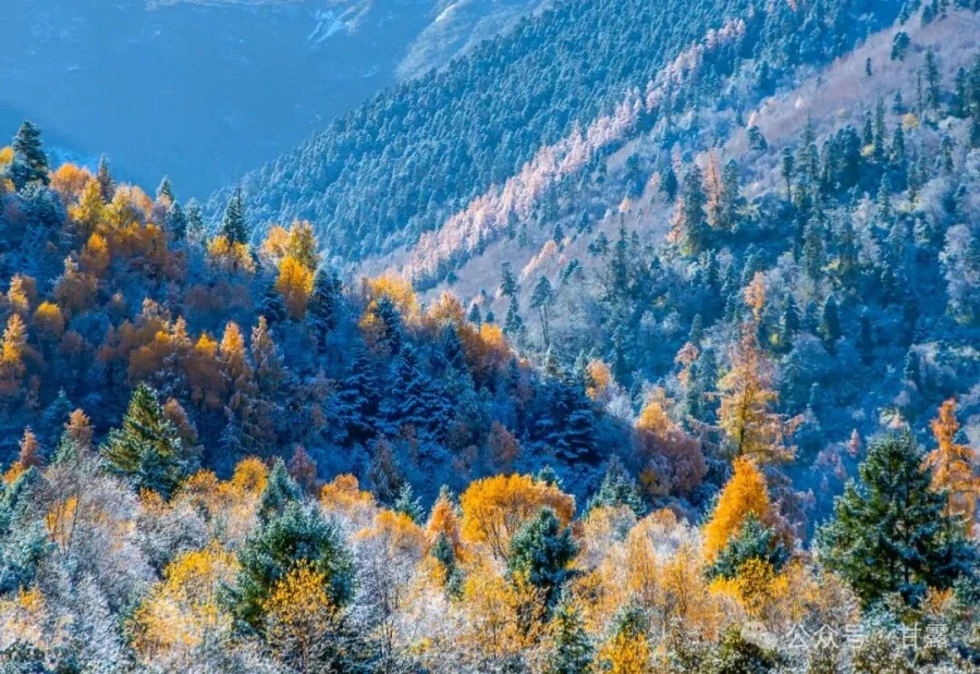 1761188582979325.jpg 640.jpg