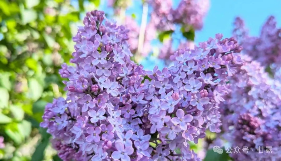 1761188651633429.jpg 640 (3).jpg