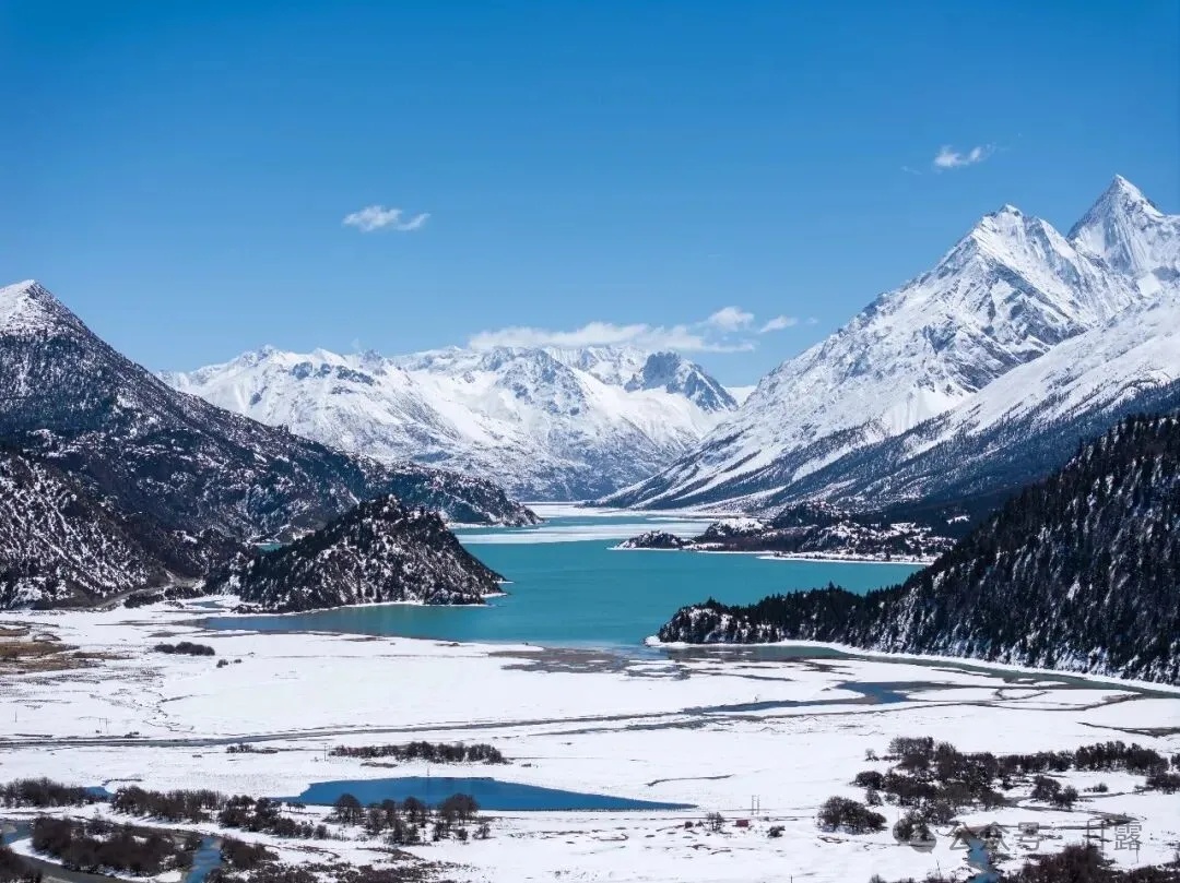 1767664254555951.jpg 640.jpg